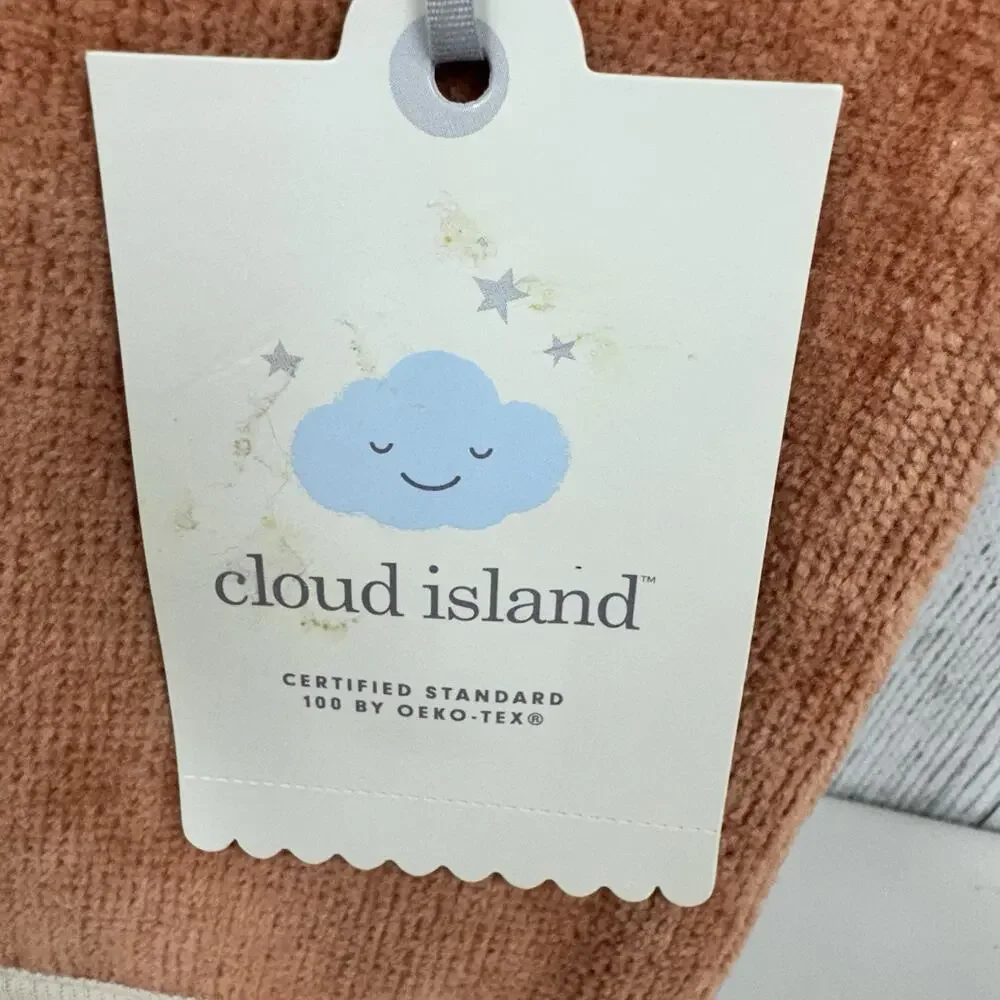 Cloud Island Baby Wash Mitt Set Orange Fox Soft Plush Cotton Infant Baby NWT